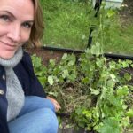 Judith Rakers Instagram – Was habt ihr an diesem verregneten Tag (zumindest in Hamburg plörrte es dauerhaft) gemacht? Ich hab das Gewächshaus aufgeräumt. Die Minigurken geerntet und ins Haus geschleppt… Die Ernte war unfassbar dieses Jahr, weil ich die Minigurken-Pflanzen direkt in den Boden gesetzt habe. Ein ganzer Urwald ist aus zwei Pflanzen entstanden (siehe Schubkarre 😄) Letztes Jahr habe ich die Pflanzen in einem kleinen Anzuchttöpfchen gelassen und so haben sich nur wenige lange Triebe entwickelt, die aber auch toll getragen haben. Ich habe die Minigurke deshalb auch in die Bio-Saatgutboxen für den Balkon und die Wohnung gepackt – weil ihr mit der Größe des Pflanzgefässes die Wurzelgrösse und damit das Pflanzenwachstum steuern könnt. Beide Saatgut-Boxen sind schon ausverkauft, aber wenn das als Weihnachtsgeschenk für euch in Frage kommt, bestelle ich nochmal nach vor dem Frühling… Also, ich finde die Gurken sehr niedlich! 😁 #homefarming #machsdirleckerzuhause #minigurke #dasglückderkleinendinge