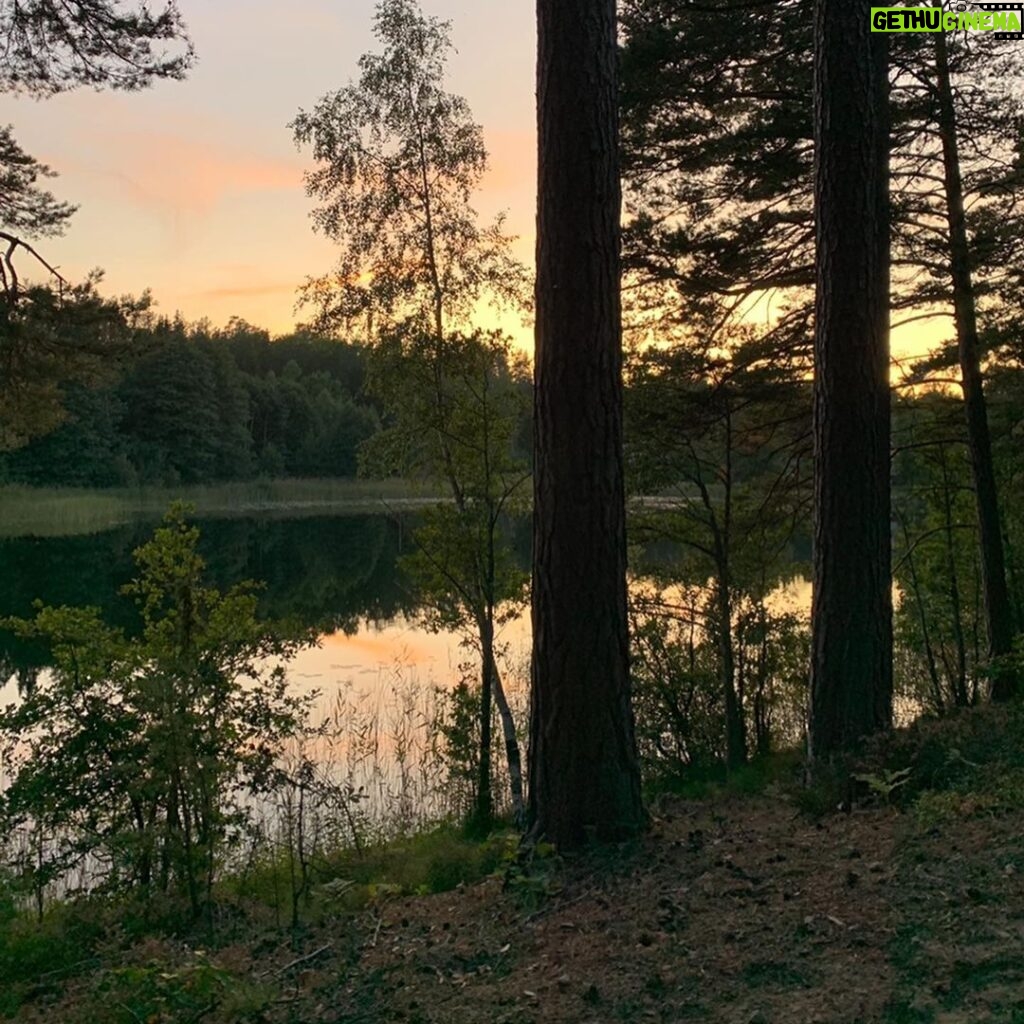 Juliane Wurm Instagram - 🍃🇸🇪 . Kanelbullar, fika, mosquito bites and some bouldering in Västervik :)