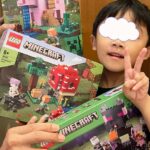 Jun Sena Instagram - ⁡ ⁡ 子どもが寝静まった後、息子がハマっているLEGOマインクラフトシリーズで夜な夜な遊ぶ今日この頃。 (今は大阪で大人しくしておりますがね) ビートルジュースのとある場面を再現。 ⁡ 可愛くない？ ⁡ 大阪土産も勿論、一緒に楽しむ為のLEGO。 息子以上にハマってる49歳の私だよ笑。 ⁡ ⁡ #LEGO #マインクラフト #大人もハマる ⁡ #ビートルジュース と #ガイコツ #そーですね ‼︎