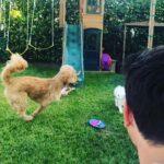 Justin Gaston Instagram - 😍😍😍😍😍😍