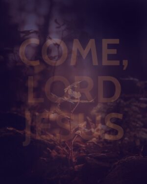 Justin Welby Instagram - We often talk of Christmas as a time of hope fulfilled. In the birth of Christ, as the famous carol goes, ‘the hope and fears of all the years are met in thee tonight.’ 

But Advent is the time before that hope is fulfilled – the time when our hopes have not yet been answered, and yet we are challenged to continue hoping. 

During the talks on Northern Ireland at the time of the Troubles, a British Minister involved was asked, ‘Minister, are you optimistic?’ 

‘No,’ he replied, ‘but I am hopeful.’ 

Vaclav Havel, the former President of then Czechoslovakia, said, ‘Hope is definitely not the same thing as optimism. It is not the conviction that something will turn out well but the certainty that something makes sense, regardless of how it turns out.’ 

Hope is the quiet certainty that, in Christ, all things will, one day, be made right, even if we don’t know how yet. 

Optimism depends on ourselves. It looks inwards. It believes that we can fix things. But when things don’t turn out exactly how we want, it can lead to despair. 

Hope looks to God alone. In him, all our hopes will be fulfilled.