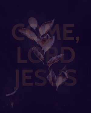 Justin Welby Instagram - Today is the first Sunday of Advent. It marks the beginning of a season of waiting, a dark season of longing for the lights and warmth of Christmas. 

We find waiting very difficult. 

Waiting confronts the illusion that we are in control. It’s very easy to believe this in our modern world, where technology provides us with any information we can dream of instantly, where our infrastructure and modern medicine insulates us from our precariousness and fragility. 

Waiting reminds us of our powerlessness in our lives in so many ways. We recognise our inability to predict the future, to know the outcome of situations we long to see resolved. 

To realise we are not in control of our lives can feel hugely shocking and destabilising. And yet at Advent, we reflect on the fact that the one we are waiting for is the one who we can ask to be in control of our lives. 

This one does not come with power and fire. He will come, as Rowan Williams writes in his marvellous poem ‘Advent Calendar’, ‘like crying in the night, like blood, like breaking, as the earth writhes to toss him free. He will come like a child.’ 

I pray that this Advent, you may release all that you are waiting for into the arms of the babe in the manger. In His presence, may our waiting finally cease.