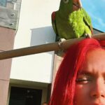 KAROL G Instagram - No tengo un caption pero tengo una cerdita, dos perritos y un loro y tú ???? 🥹💕🌸🌈🦋🍄🐈‍⬛✨🦂🦋🌴🌞🧜🏽‍♀️✨🌷🌻🦀🐠🌊✨🌸💜🌴 ⛅️🌈🍃🐈‍⬛✨💕🌺🐆🦂🦋 Hii Friends
