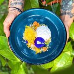 Kamila Rundusová Instagram - It’s good to be back at @___mycelium___ . We are creating new dishes, we play with the local ingredients, giving them an Asian twist and our Czech roots at the same time. We are having fun and that’s what matters. We don’t work here, we create. No limitations. That’s our concept. We are excited to have you for a dinner wednesday till friday from 6-10pm. And from next week, we will be finally open for breakfast and lunch too (9am until 2pm). Starting from next friday 15th of December. Reservations on +50671885850 Walk-ins are welcomed🤍 Have a great day and see you at our magic place in the heart of Playa Negra✨ Photo by @anna_stembik #mycelium #myceliumplayanegra Playa Negra, Guanacaste, Costa Rica