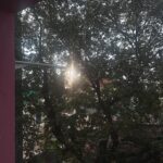 Kanmani Manoharan Instagram - #kanmanimanoharan✨ I like my shadow, it reminds me that I exist 💯 just look at my background wall it’s reflection of sunlight and trees then I understand nature is the best art ❣️ Customised outfit @f2f_designerboutique merry Christmas everyone ❣️ #kanmanimanoharan✨ #nature #beautiful #colourful #purelove #art #peace #positivity #sunshine🌞🌞🌞