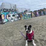 Kari Byron Instagram - City beach baby