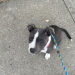 Kari Byron Instagram - My Chief of Staffy.