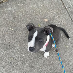 Kari Byron Instagram - My Chief of Staffy.