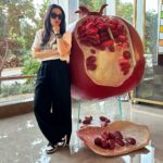 Karisma Kapoor Instagram – Eat fruit and be merry 🎄🎅🏼❤️✨

#tistheseason