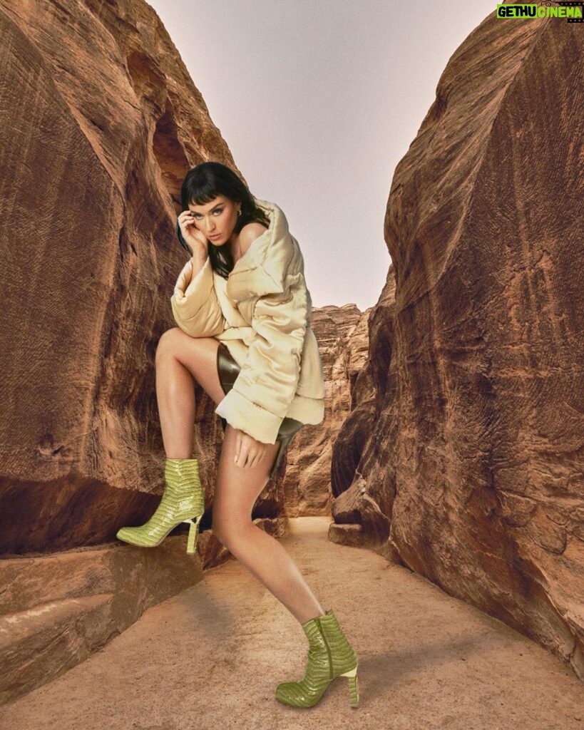 Katy Perry Instagram - Crocodile. Rocks. @katyperrycollections