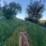 Kendall Jenner Instagram -