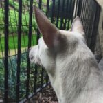 Kenton Duty Instagram - She loves the rain.