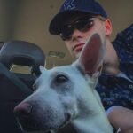 Kenton Duty Instagram - Cell phone waiting lot antics with Katana... TAT where you at???
