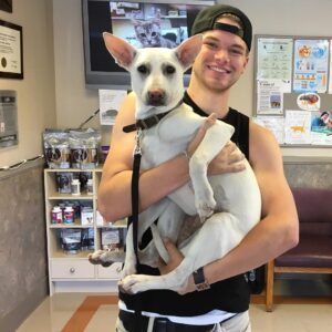 Kenton Duty Instagram - My little Polar Coyote. #Katana #happydog #happyman