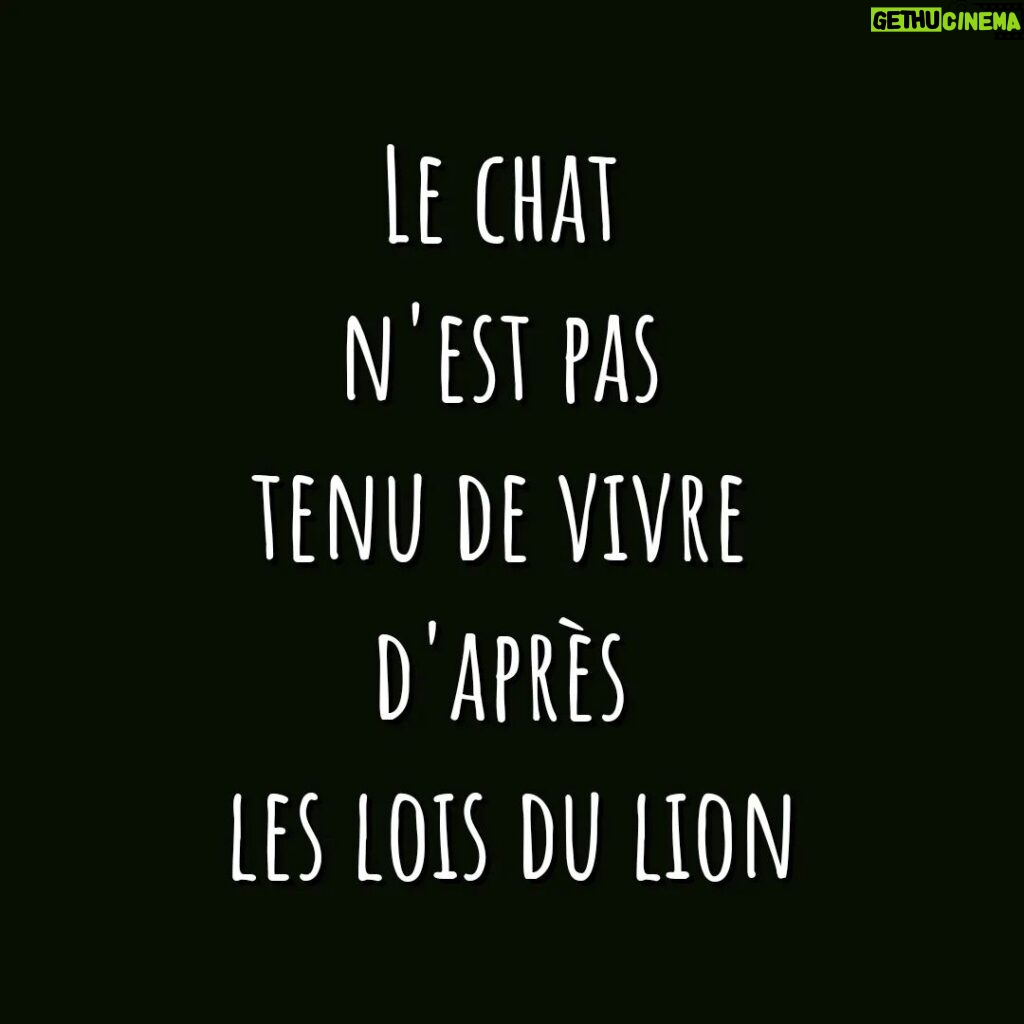 Kevin Miranda Instagram - 👁️ Baruch Spinoza 👁️ 👉 Un Philosophe magnifique (néerlandais d'origine séfarade portugais) 1632-1677 🤓 Mon conseil perso : allez check la chaîne du Précepteur sur Youtube @charles_precepteur🔥 👀 Le soir avant de dormir laissez vous bercer #spinoza #philo #lion #citation #mots #phrase #reflexion #photo #phrases #question #philosophe #philosophie #photooftheday #picture #quote #insta #instadaily #instamood