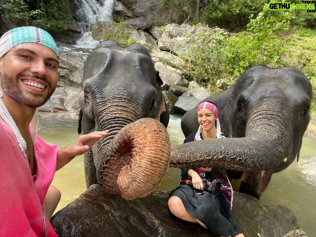 Kevin Miranda Instagram - Une journée avec les éléphants qui restera gravée dans nos mémoires @sarahynob ♥️ 🐘 On rêvait de pouvoir passer un moment avec les éléphants mais on ne voulait pas nourrir un business touristique qui les maltraite Par chance on a rencontré un "jungle man" de la tribu Karen, un peuple qui vit avec les éléphants de génération en génération Si vous êtes près de Chiang Mai au nord de la Thaïlande et que vous souhaitez vivre une expérience unique : @elephants_at_home 🙏 #thailande #chiangmai #animal #karentribe #pix #photo #picture #waterfall #north #thailand #thai #instamood #trip #couplegoals #love #adventure