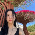 Kim Jisoo Instagram - 🌵LA에서의 자유시간🌵 The Getty Center