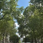 Kim Jisoo Instagram - 나무 좋아 🌳 구름 좋아 ☁️ Paris, France