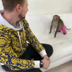 Konstantin Pavlov Instagram - Я старался держать по дальше… правда, очень боюсь всяких диких животных! Гладил пуму, ну как гладил, тронул ее и все, быстро, руку отдернул, мало ли что у неё на уме! С обезьянами тоже был опыт в Тайланде, напали на меня за то, что я не дал им банан! Налетели сразу стаей, не шучу! Змей так же боюсь… короче, очень осторожно отношусь к диким животным! 🤗 а как у вас отношения с такими животными?