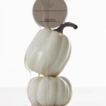 Kris Jenner Instagram - Kim’s new @SKKN Resurfacing Pumpkin Enzyme Mask and Treatment Brush coming Oct 4 @kimkardashian Developed with cutting-edge biotechnology, our rinse-off exfoliating mask launches on October 4th alongside our application brush. Join the waitlist at the link in bio to shop first.