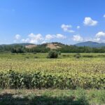 Kris Jenner Instagram - Under the Tuscan sun 🇮🇹☀️