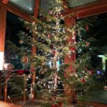 Kristen Holden-Ried Instagram - Well… it’s from our own property… Can we call it the “natural Christmas tree” look? And cedar?? Who knew. Smells great :) Not particularly Christian here… so maybe let’s call it a winter tree? Big love to you all out there. Pretty sure we all celebrate the winter solstice in our own way. The sun is coming back to the northern hemisphere!! We just gotta wait a few months ;) Happy holidays all! #happyholidays
