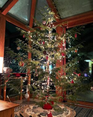 Kristen Holden-Ried Instagram - Well…  it’s from our own property…
Can we call it the “natural Christmas tree” look? And cedar?? Who knew. Smells great :)
Not particularly Christian here…
so maybe let’s call it a winter tree?
Big love to you all out there. 
Pretty sure we all celebrate the winter solstice in our own way. 
The sun is coming back to the northern hemisphere!!
We just gotta wait a few months ;)
Happy holidays all!
#happyholidays