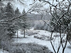 Kristen Holden-Ried Instagram - Good morning snow :)

#winter