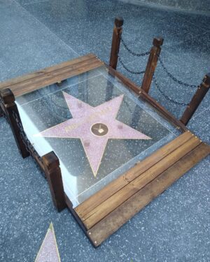 Kristen Schaal Instagram - Today I donated the first ever @hwdwalkoffame Foot Bridge at Andy Kaufman’s ceremony. My hope is that no one’s dirty feet, dog shit, bird shit, or gum will ever touch his precious star that took 40 years after his death to get. I also donated a rug to go over the bridge to keep it clean too. Thank you to Arturo Guzman and his friend for building it, Rich Blomquist for the rug idea (zoom in on rug), the Kaufman’s for letting me be a part of this historical event, and to Andy for the inspiration.