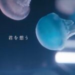 Kurumi Shimizu Instagram - 松下洸平さんのMV 「君を想う」に出演させていただいています！ 是非みてください🫶 #Repost @kouheimatsushita_official with @use.repost ・・・ 『君を想う』MV YouTubeにて公開！ 今回素敵なお芝居を見せてくださった清水くるみさん、濱正悟さん、監督の柴田啓佑さん、楽曲のイメージを想像以上の素晴らしい世界にして下さって本当にありがとうございました。 何度も何度も見たくなる映像です。 シェアしてね☺️ @kurumi_shimizu @hamastagram822