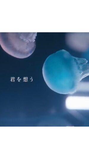 Kurumi Shimizu Instagram - 松下洸平さんのMV
「君を想う」に出演させていただいています！
是非みてください🫶

#Repost @kouheimatsushita_official with @use.repost
・・・
『君を想う』MV
YouTubeにて公開！

今回素敵なお芝居を見せてくださった清水くるみさん、濱正悟さん、監督の柴田啓佑さん、楽曲のイメージを想像以上の素晴らしい世界にして下さって本当にありがとうございました。

何度も何度も見たくなる映像です。
シェアしてね☺️

@kurumi_shimizu 
@hamastagram822