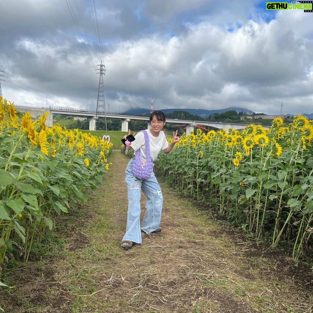 Kurumi Shimizu Instagram - 先日、お仕事で熊本へ！ ゾロにも会えたし、今まででいちばん美味しいいちごソフトにも出会えて幸せでした🫶🍓みんな後ろ向いてる🌻もかわいい 明日から更に寒くなるそう、みなさん風邪ひきませんように… わたしは花粉にやられとります🤧🌾
