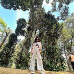 Kusuma Degalamari Instagram – Wayanad Trip 🌳 Photo Dump 1

P.S swipe to the final image to witness my brave stunt 🧐😂

Wayand, travel, travel diaries, travel photoshoot, ootd, photography, travel life, trip, therapy, vacation, holiday, kerala, nature, trees , activities, stunts, food, Wayanad, India