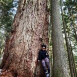 Latonya Williams Instagram – Biggest baddest B in the forest and she ain’t sorry. #thatsabigtree #Hollyburnfir

#blessed #badass #bossbabe #explorebc #vancouver #hiking #hikingadventures #fitgirls #fitspo #actor #vancouveractor
