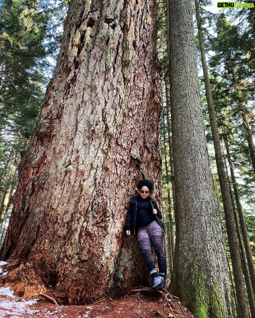 Latonya Williams Instagram - Biggest baddest B in the forest and she ain’t sorry. #thatsabigtree #Hollyburnfir #blessed #badass #bossbabe #explorebc #vancouver #hiking #hikingadventures #fitgirls #fitspo #actor #vancouveractor