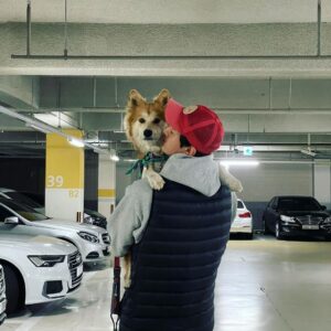 Lee Ki-woo Instagram - 🦊🙋🏻‍♂️
강아지의 날 기념 어부바둥가둥가둥~
셔틀 힘들다 언제 이렇게 컸어!

#강아지의날 #그녀석과함께 #가족
#사지마세요입양하세요