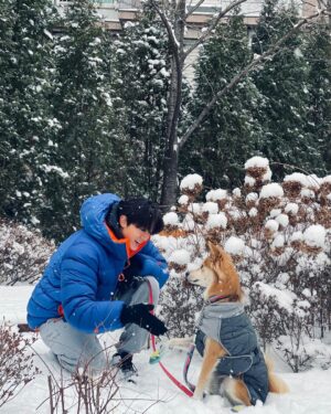 Lee Ki-woo Instagram - 🙋🏻‍♂️🦊
나는 인복도 많지만 견복도 있나보다. 
우리집에 와줘서 고마운 그녀석과 눈 마실~
가족과 함께 한결 따뜻한 겨울 보내는 중~
눈 길 조심! 감기 조심 하세요!

#기우리 #시고르테디 #브로맨스 
#가족사진 #삼총사의겨울 
#사지마세요입양하세요 
#adoptdontshop