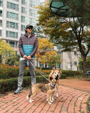 Lee Ki-woo Instagram - 🍁
곧 겨울이 올 것 같다 얘들아.
털 있어서 좋겠네😎
더 늦기 전에 단풍놀이 가을 바다 보러가자!!

#사지마세요입양하세요 #유기견에서반려견으로 
#가족 #일상 #ootd #주말기록