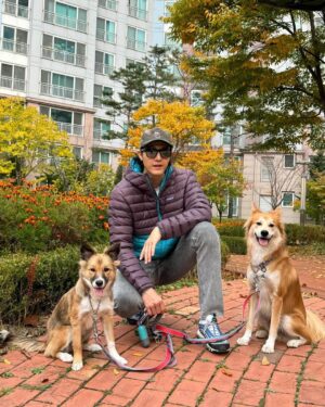 Lee Ki-woo Instagram - 🍁
곧 겨울이 올 것 같다 얘들아.
털 있어서 좋겠네😎
더 늦기 전에 단풍놀이 가을 바다 보러가자!!

#사지마세요입양하세요 #유기견에서반려견으로 
#가족 #일상 #ootd #주말기록
