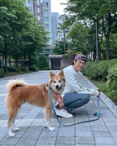 Lee Ki-woo Instagram - 🙋🏻‍♂️🦊 날씨 좋은 금요일!!! 임보 중인 막내 제리도 잘 지내주고 있고 무엇보다 예상치도 못했던 테디의 의젓한 행동 하나하나에 많은 걸 느끼고 배우는 요즘. 나는 어떤 휴먼이 되어야 하는가..🤔 를 생각하게 되는 너무 소중한 기회를 얻은 것 같다. 동물에게 배운다. 고마워 테디! 모두 즐거운 금요일 보내세요!! #기우리 #시고르테디 #특급브로맨스 #남바투티셔츠감사합니다🙋🏻‍♂️ #좋은하루 #동물에게배운다 #사지마세요입양하세요