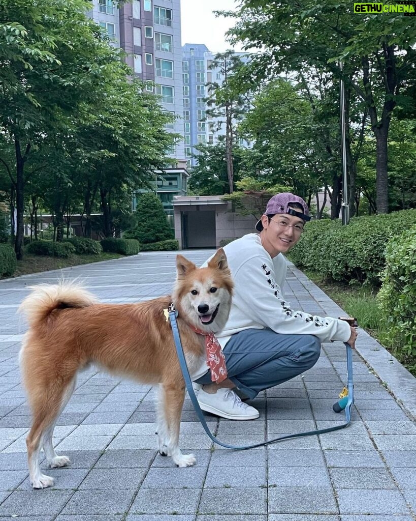 Lee Ki-woo Instagram - 🙋🏻‍♂️🦊 날씨 좋은 금요일!!! 임보 중인 막내 제리도 잘 지내주고 있고 무엇보다 예상치도 못했던 테디의 의젓한 행동 하나하나에 많은 걸 느끼고 배우는 요즘. 나는 어떤 휴먼이 되어야 하는가..🤔 를 생각하게 되는 너무 소중한 기회를 얻은 것 같다. 동물에게 배운다. 고마워 테디! 모두 즐거운 금요일 보내세요!! #기우리 #시고르테디 #특급브로맨스 #남바투티셔츠감사합니다🙋🏻‍♂️ #좋은하루 #동물에게배운다 #사지마세요입양하세요