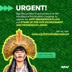 Leonardo DiCaprio Instagram - Please join me in supporting Brazilian Indigenous leader @celia.xakriaba who is asking fellow Brazilian Congress members to oppose the anti-Indigenous bill PL490. The key vote is tomorrow; please consider signing her petition at the #LinkInBio. ——— Junte-se a mim no apoio à liderança indígena @celiaxakriaba, que está pedindo aos colegas membros do Congresso brasileiro que se oponham ao projeto de lei anti-indígena PL490. #PL490NÃO A votação do projeto é amanhã. Por favor, assine a petição.