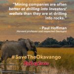 Leonardo DiCaprio Instagram – In @RollingStone’s latest investigative report, we take a look at ReconAfrica; a Canadian oil company exploring for oil in one of the most important places for the wild: the Okavango River Basin in Namibia & Botswana. This includes the Okavango Delta, a #KeyBiodiversityArea (KBA) of global importance to the planet’s overall health and the persistence of biodiversity. It’s also a @UNESCO World Heritage site and a #Ramsar wetland site and home to one of the oldest cultures in the world.
 
We can avoid the worst effects of climate change and protect the wild, but we need to stop burning fossil fuels.
 
To read the article, click on the link in bio.