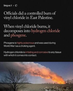 Leonardo DiCaprio Instagram - Repost from @environment
•
The toxic chemical release in East Palestine, Ohio could be the largest environmental disaster in U.S. history. 

Animals are dying, people are complaining of nausea, headaches, and burning eyes, and residents are fearing for their safety after a train derailment released chemicals in East Palestine, Ohio. 

We may not know the full extent of damage from this extreme environmental disaster for years. 

Norfolk Southern and the government must be held responsible. 

This content was made by @Environment. Follow @Environment for more climate news and resources. 

🌎 Written by @ashleybarriientos
🍃 Design by @crstnpark