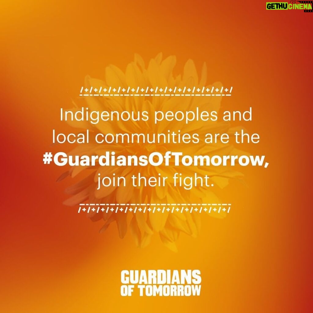 Leonardo DiCaprio Instagram - Acknowledging the fundamental work of Indigenous peoples and local communities in protecting the Earth. They keep hope alive for a bright future. Despite all odds and threats, science has proven that they are the most effective #GuardiansOfTomorrow. They need more support to defend their rights and lands. They have and are still putting themselves on the frontlines to tackle the climate crisis. Let Indigenous peoples and local communities lead. Follow @globalalliancet to learn more. 📷: @camilafalquez