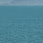 Leonardo DiCaprio Instagram - At my organization @Rewild, we never give up on species. This includes the Vaquita (the world’s smallest porpoise), which has avoided extinction thanks to 24/7 protection from @SeaShepherdSSCS and the Mexican Navy, and the critical role of local communities in working toward Vaquita-safe seafood due to Cetacean Action Treasury @pescaabc @pronaturanoroeste efforts. The Vaquita is starting its recovery but to get beyond ten individual #Vaquita, the government of Mexico and its partners must double down on proven solutions for both Vaquita and the people. Learn more at the link in bio.