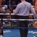 Liam Williams Instagram - @top_donny_banter strikes again 🤣🤣