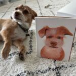 Lily Collins Instagram - @Redforddog said “draw me like one of your French girls”…