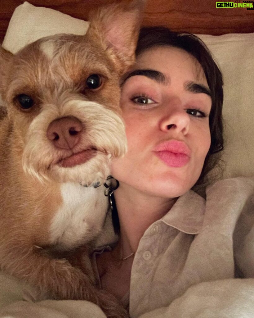 Lily Collins Instagram - Every day is National Pet Day in this household…