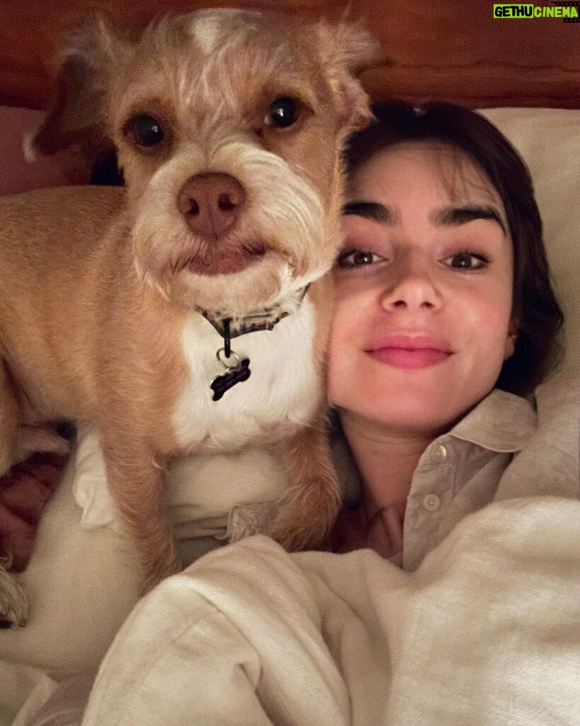 Lily Collins Instagram - Every day is National Pet Day in this household…